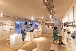 Ausstellung Web v2