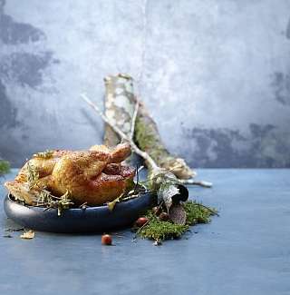 Poulet auf Birkenzweigen mit Hagebutten und Buchennuessen