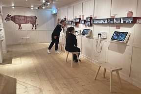 Breitenmoser Gustarium Ausstellung 03 v2