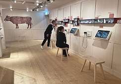 Breitenmoser Gustarium Ausstellung 03