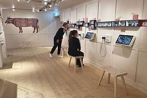 Breitenmoser Gustarium Ausstellung 03