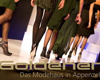 Header Website 